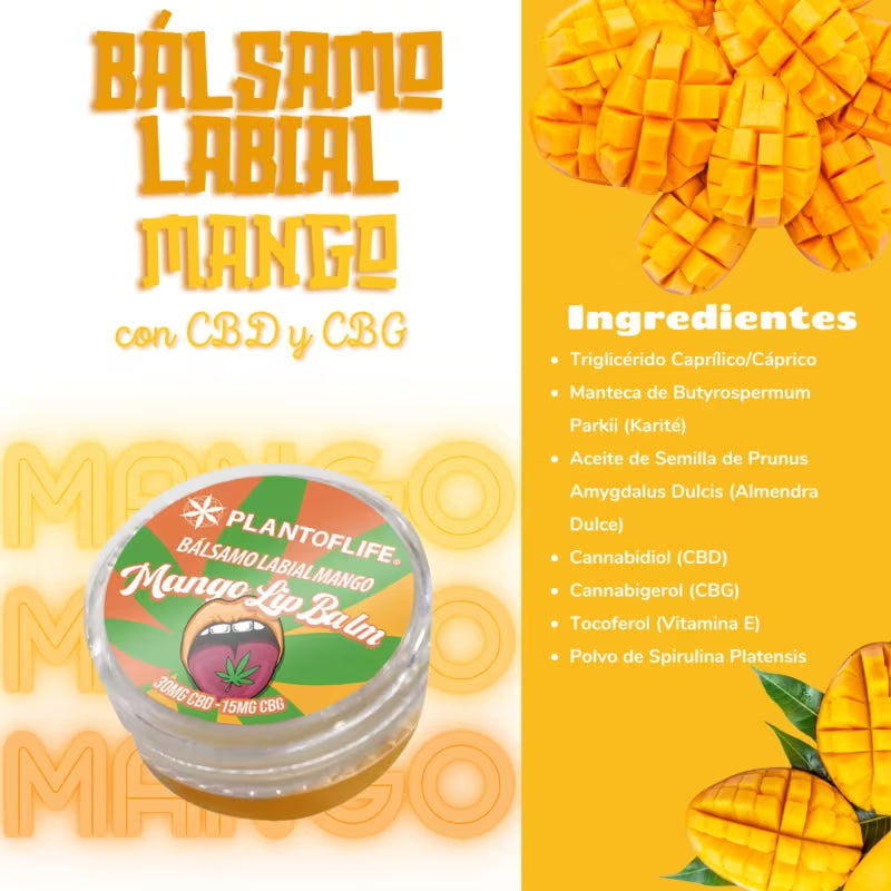 Bálsamo Labial CBD & CBG Mango - Madriz CBD