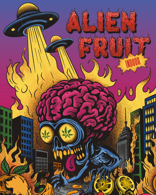 Alien Fruit XXL - Madriz CBD