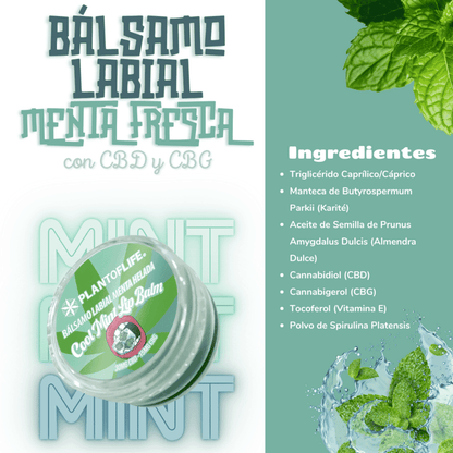 Bálsamo Labial CBD & CBG Menta - Madriz CBD
