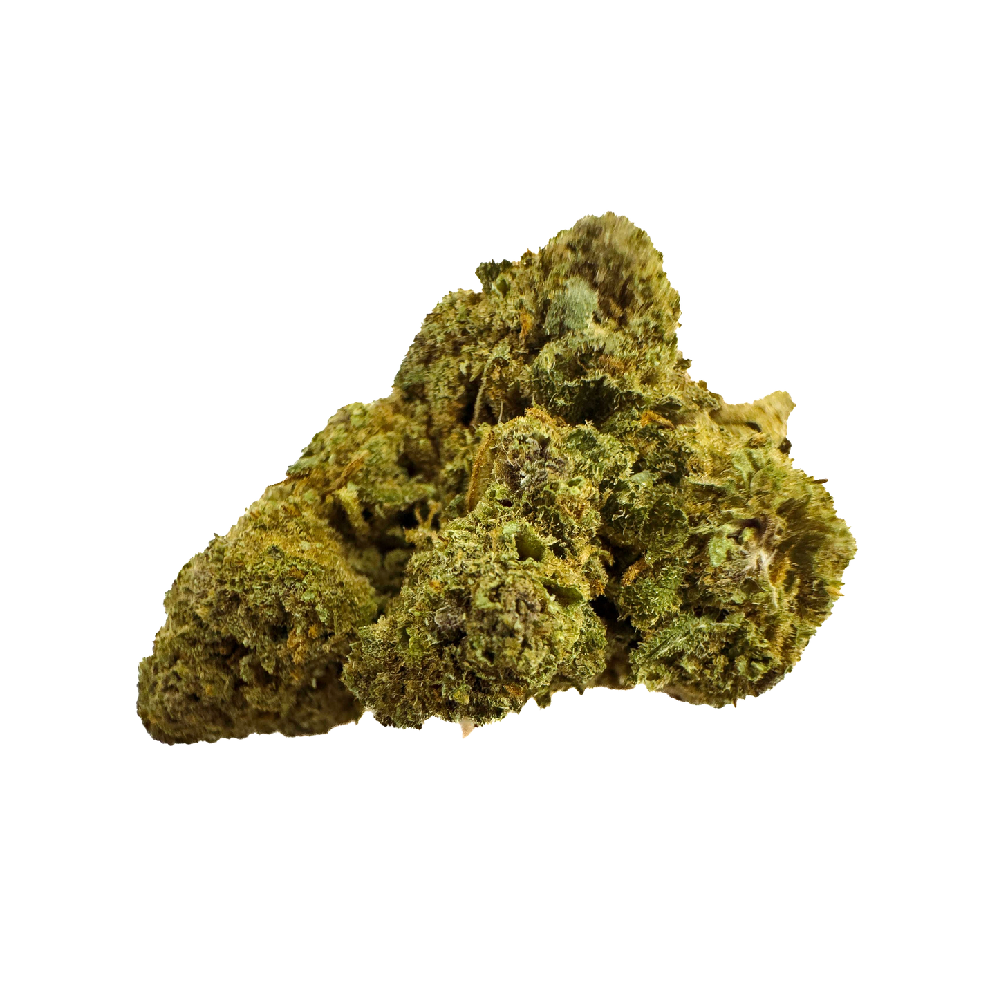 Crazy Train Premium Indoor