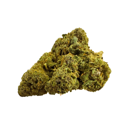 Crazy Train Premium Indoor